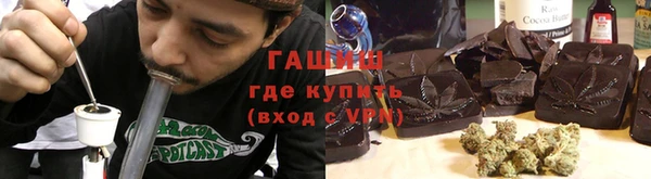 гидра Михайловка