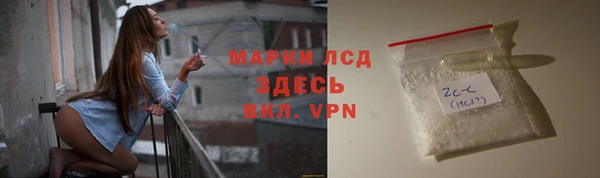 ALPHA PVP Чердынь
