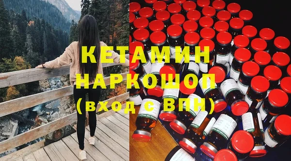 гидра Михайловка