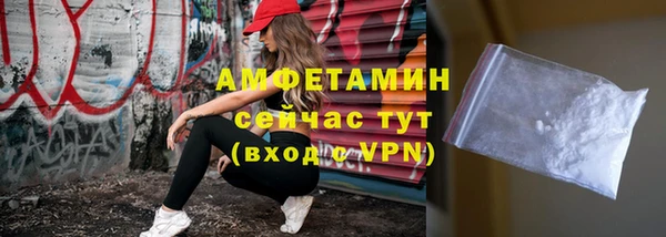 гидра Михайловка