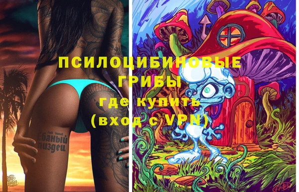 гидра Михайловка