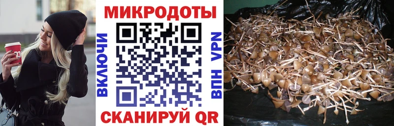 Псилоцибиновые грибы Psilocybine cubensis цена Майский
