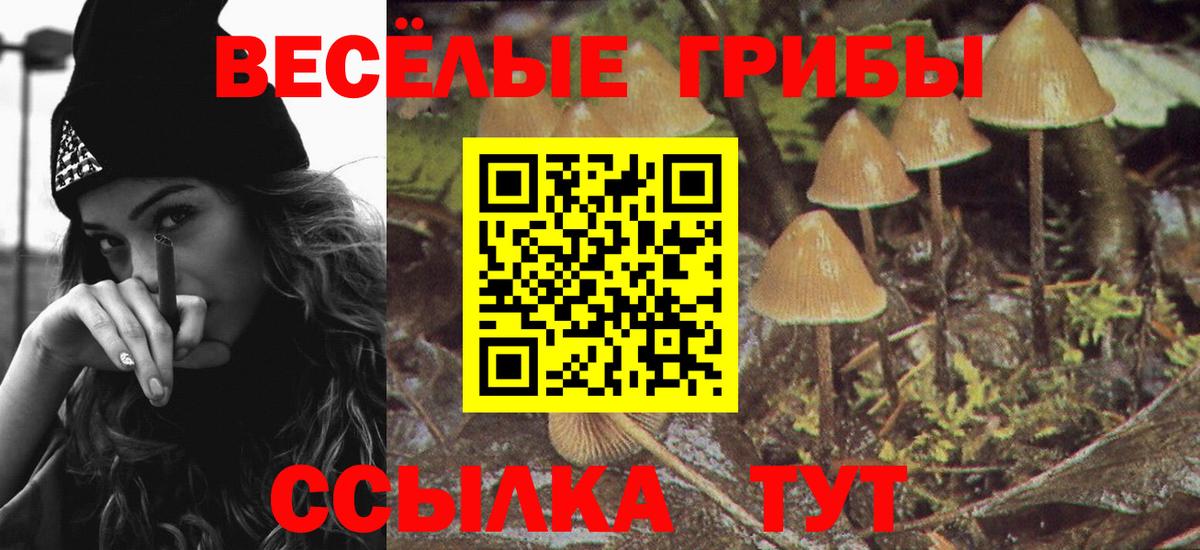 Галлюциногенные грибы GOLDEN TEACHER Майский