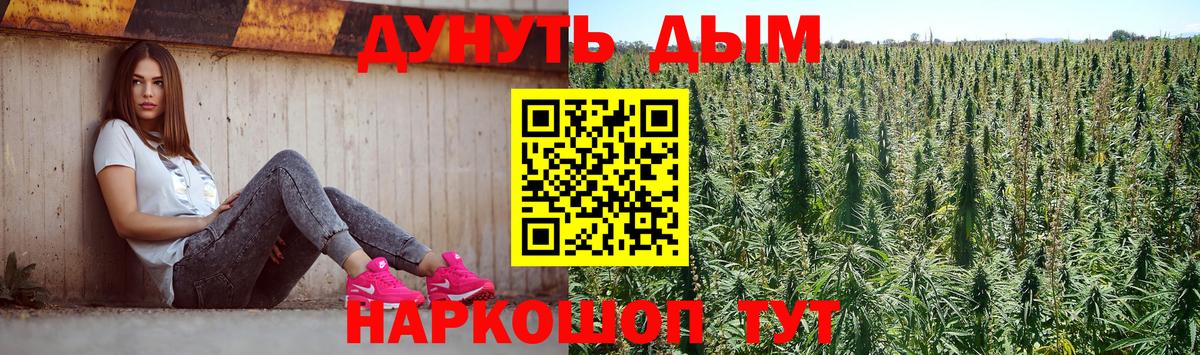 Бошки Шишки конопля  Бошки Шишки планчик  Каннабис White Widow  Майский  Канабис ГИДРОПОН 